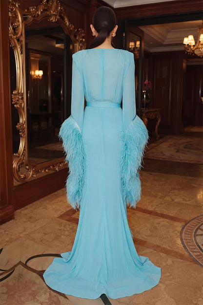 A-Line/Princess V-Neck Long Sleeves Chiffon Floor-Length Evening Dresses with Feather&Pleats