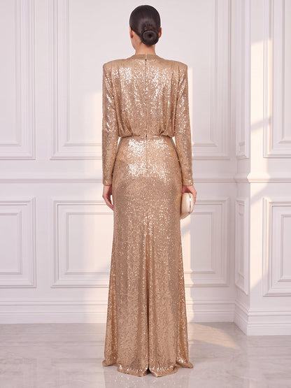 Sheath/Column V-Neck Long Sleeves Sequin Floor-Length Evening Dresses with Pleats