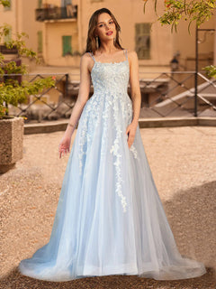 Red Dress Wedding Elegant Prom Dresses A-Line/Princess V-Neck Sleeveless Prom  Dresses With Applique