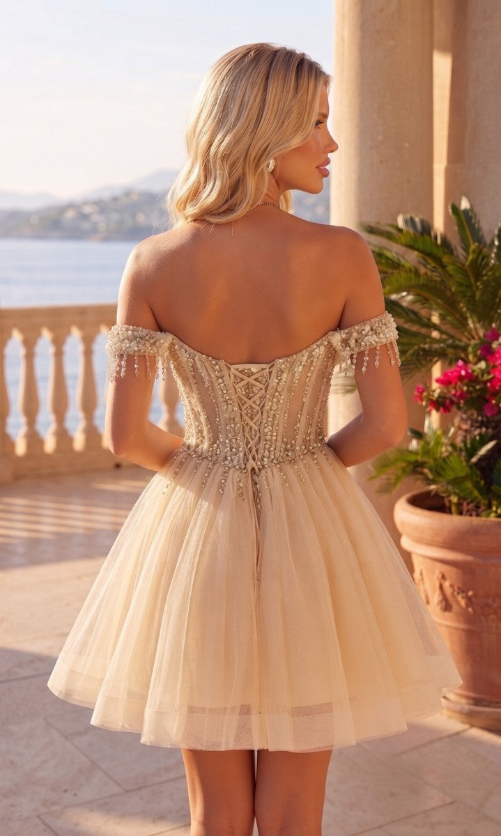 A-Line/Princess Off-the-Shoulder Sleeveless Tulle Mini Semi Formal Dresses with Applique&Corset
